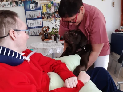 Hundebesuch